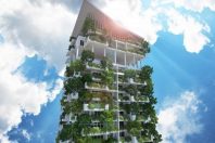 ΚΡΕΜΑΣΤΟΙ ΚΗΠΟΙ