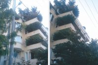 ΚΡΕΜΑΣΤΟΙ ΚΗΠΟΙ