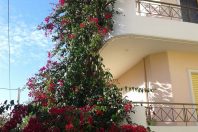 ΔΙΟΡΟΦΗ ΚΑΤΟΙΚΙΑ